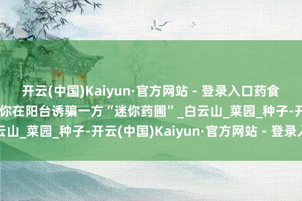 开云(中国)Kaiyun·官方网站 - 登录入口药食同源副本开启！手把手教你在阳台诱骗一方“迷你药圃”_白云山_菜园_种子-开云(中国)Kaiyun·官方网站 - 登录入口