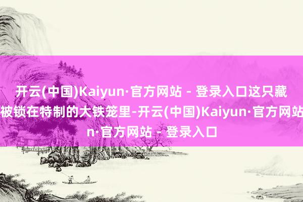 开云(中国)Kaiyun·官方网站 - 登录入口这只藏獒果然整日被锁在特制的大铁笼里-开云(中国)Kaiyun·官方网站 - 登录入口