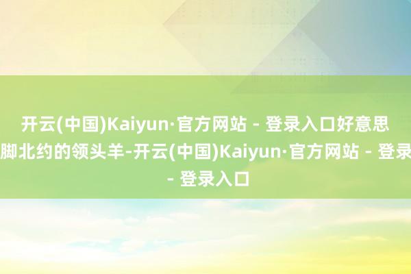 开云(中国)Kaiyun·官方网站 - 登录入口好意思国手脚北约的领头羊-开云(中国)Kaiyun·官方网站 - 登录入口